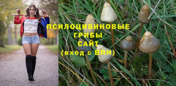 прущая мука Переславль-Залесский