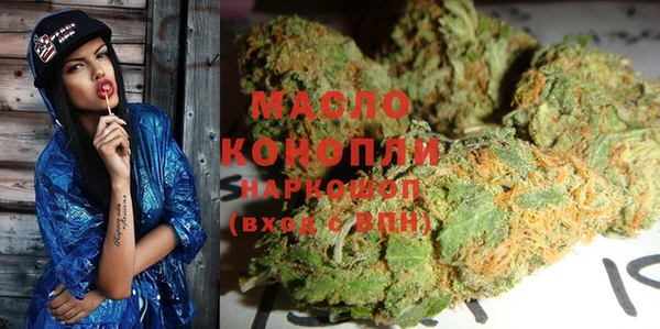 гашик Пересвет