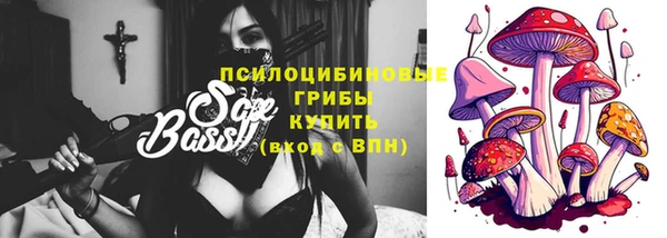 гашик Пересвет
