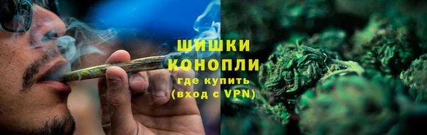 гашик Пересвет