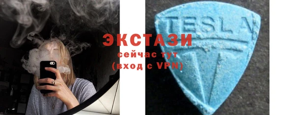 гашик Пересвет