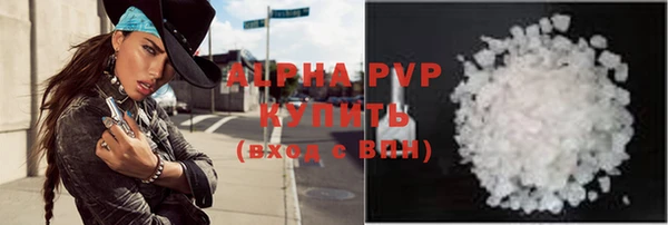 гашик Пересвет