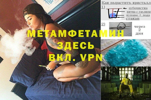 гашик Пересвет