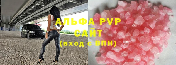 гашик Пересвет