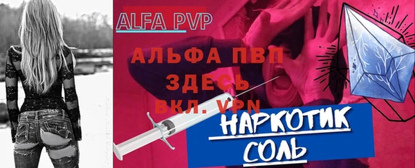 гашик Пересвет