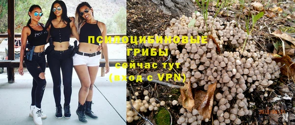 СК Пестово