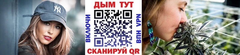 Бошки Шишки планчик  Сасово 